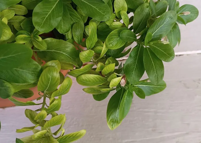 Sottovento Rooms&relax Vendégház Marzamemi